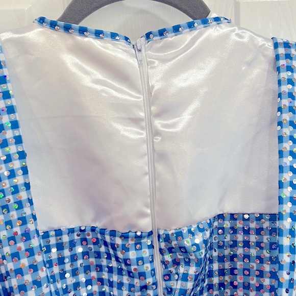 Dorothy Wizard of Oz dress size large - Picture 10 of 11